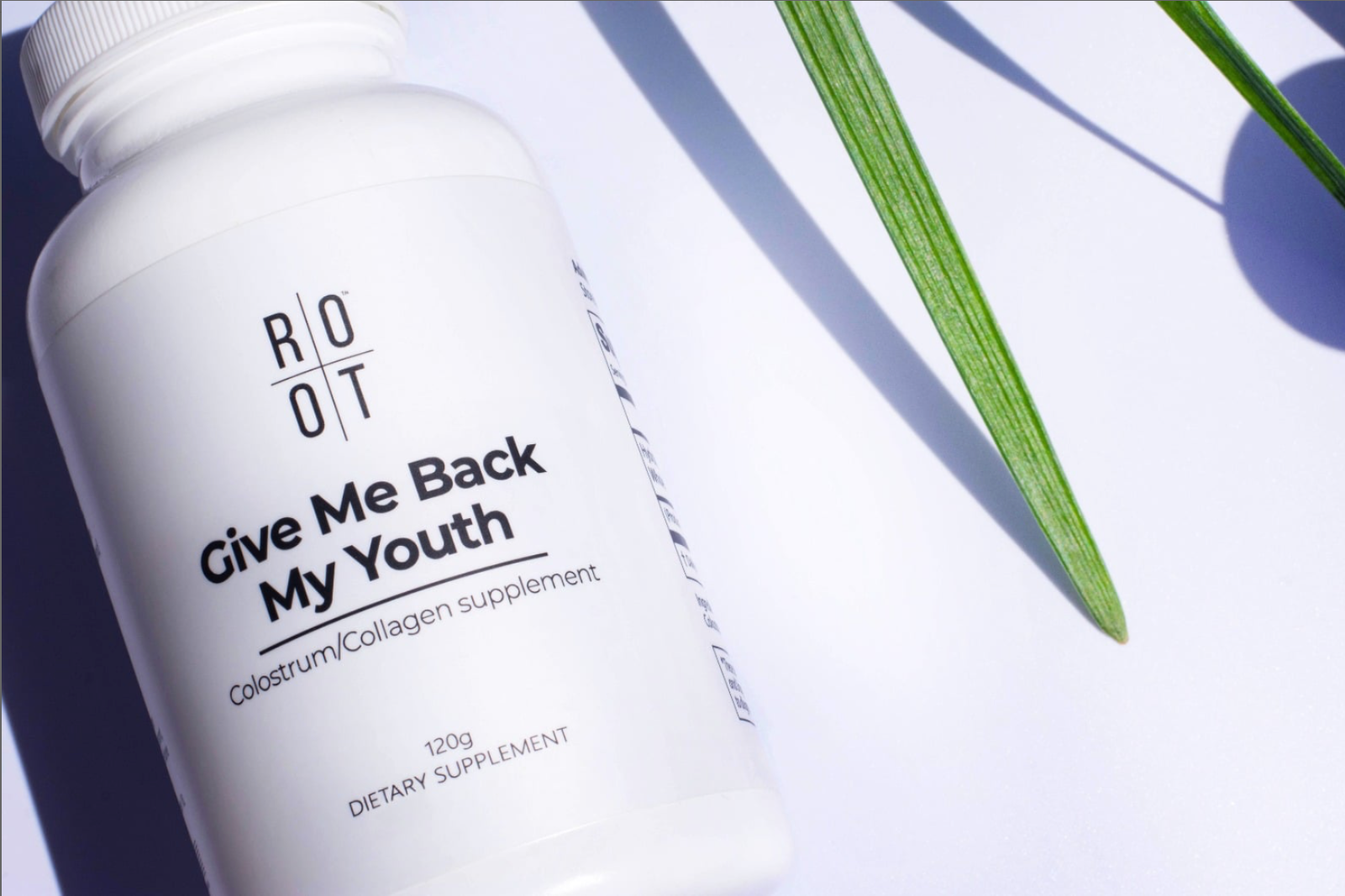 Neu bei ROOT: GIVE ME BACK MY YOUTH (GMBMY)