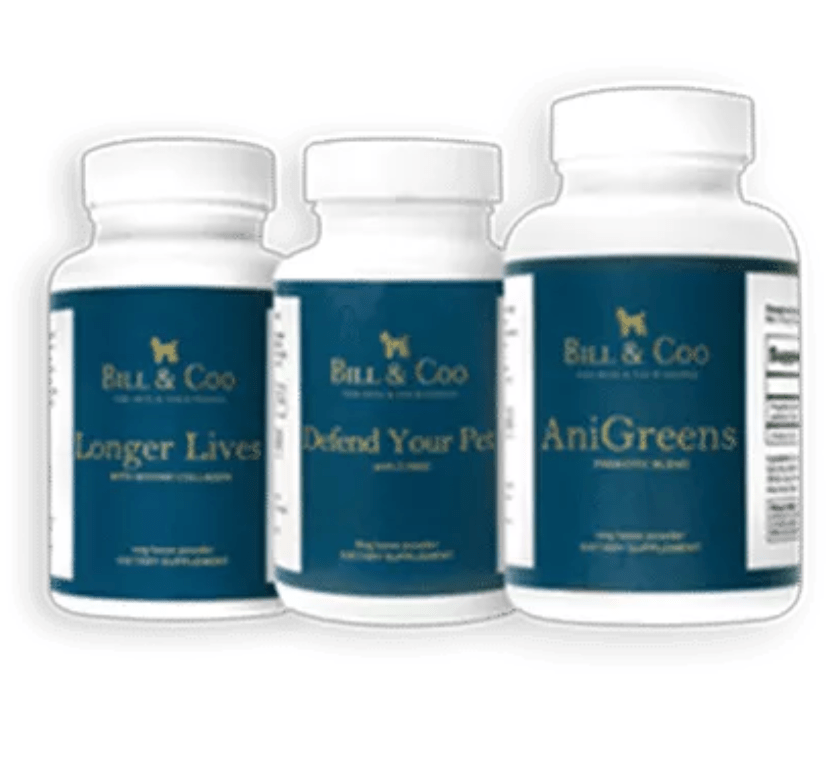 & van BC Powder Pack